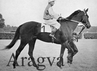 Aragva (SU) b f 1951 Agregat (HUN) - Gaiti (SU), by Trade Wind (GB)