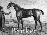 Banker (GB) b c 1816 Smolensko (GB - Quail (GB), by Gohanna (GB)