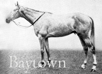 Baytown (IRE) gr c 1925 Achtoi (GB) - Princess Herodias (GB), by Poor Boy (FR)
