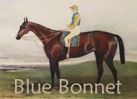 Blue Bonnet (GB) b f 1839 Touchstone (GB) - Maid Of Melrose (GB), by Brutandorf (GB)