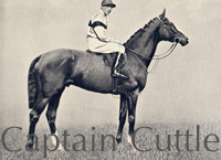 Captain Cuttle (GB) ch c 1919 Hurry On (GB) - Bellavista (GB), by Cyllene (GB)