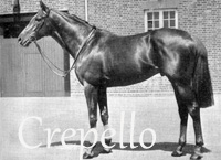Crepello (GB) ch c 1954 Donatello (FR) - Crepuscule (GB), by Mieuxce (FR)