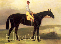 Ellington (GB) br c 1853 The Flying Dutchman (GB) - Ellerdale (GB), by Lanercost (GB)