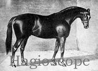 Hagioscope (GB) ch c 1878 Speculum (GB) - Sophia (GB), by Macaroni (GB)