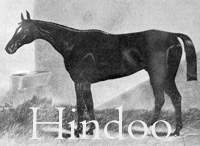 Hindoo (USA) b c 1878 Virgil (USA) - Florence (USA), by Lexington (USA)