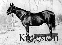 Kingston (USA) br c 1884 Spendthrift (USA) - Kapanga (GB), by Victorious (GB)