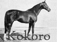 Kokoro (AH) ch c 1909 Raeburn (GB) - Juliska (AH), by Gunnersbury (GB)
