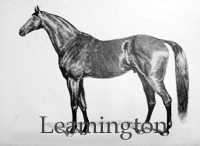 Leamington (GB) br c 1853 Faugh-A-Ballagh (IRE) - Pantaloon Mare (GB), by Pantaloon (GB)