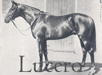 Lucero (IRE) br c 1953 Solonaway (IRE) - Cuguan (GB), by Fair Trial (GB)
