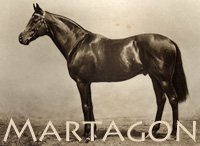 Martagon (GB) b c 1887 Bend Or (GB) - Tiger Lily (GB), by Macaroni (GB)