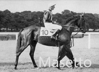Masetto (GER) b c 1952 Olymp (GER) - Mimosa (GER), by Indus (FR)