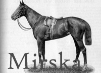 Mirska (GB) b f 1909 St. Frusquin (GB) - Musa (GB), by Martagon (GB)