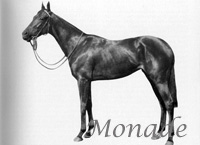 Monade (FR) br f 1959 Klairon (FR) - Mormyre (FR), by Atys (FR)