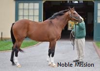 Noble Mission