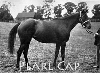 Pearl Cap (FR) b f 1928 Le Capucin (FR) - Pearl Maiden (GB), by Phaleron (GB)