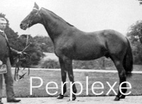 Perplexe (FR) b c 1872 Vermouth (FR) - Peripetie (FR), by Sting (GB)