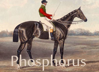 Phosphorus (GB) b c 1834 Lamplighter - Sister To Chapeau De Paille (GB), by Rubens (GB)