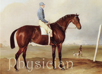 Physician (GB) b c 1829 Brutandorf (GB) - Primette (GB), by Prime Minister (GB)