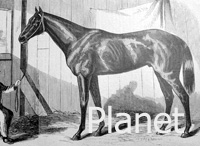 Planet (USA) ch c 1855 Revenue (USA) - Nina (USA), by Boston (USA)