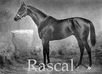 Rascal (AH) b c 1907 Raeburn (GB) - Kikelet (AH), by Pardon (AH)
