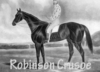 Robinson Crusoe (AUS) br c 1873 Angler (AUS) - Chrysolite (AUS), by Stockwell (GB)