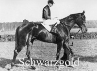 Schwarzgold (GER) b f 1937 Alchimist (GER) - Schwarzliesel (GER), by Oleander (GER)