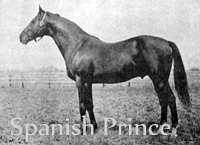 Spanish Prince (GB) b c 1907 Ugly (GB) - Galazora (GB), by Galeazzo (GB)