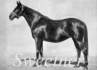 Sweetner (GB) ch f 1938 Solario (GB) - Dulce (FR), by Astrus (FR)