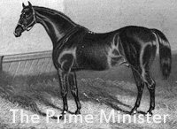 The Prime Minister (GB) br c 1848 Melbourne (GB) - Pantalonade (GB), by Pantaloon (GB)