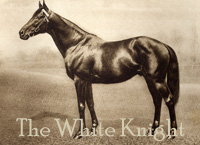 The White Knight (IRE) b c 1903 Desmond (GB) - Pella (IRE), by Buckshot (IRE)