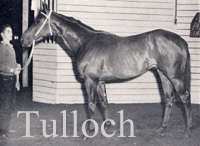Tulloch (NZ) b c 1954 Khorassan (IRE) - Florida (NZ), by Salmagundi (GB)